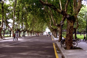 boulevard01